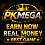 Featured image for the Pkmega Game guide