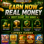 Featured image for the Wowpk guide