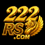 Featured image for the 222RS Game guide