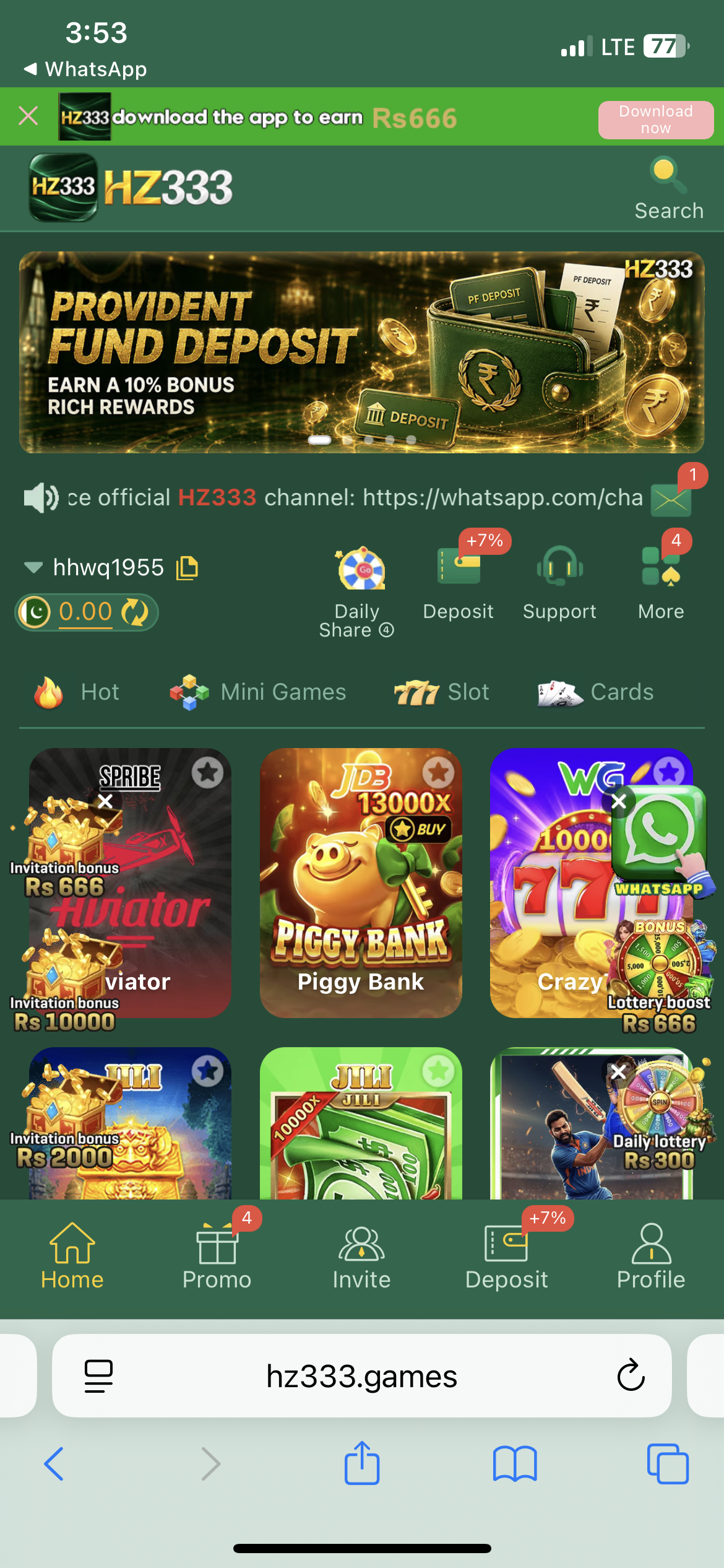 Supporting image for the HZ333 Game guide