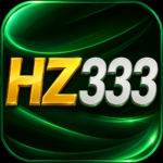 Featured image for the HZ333 Game guide