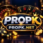 Featured image for the ProPk Game guide
