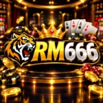 Featured image for the RM666 guide